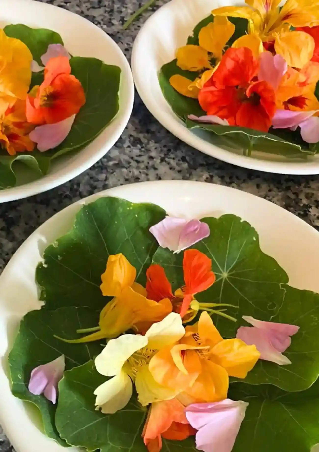 Repas avec des fleurs